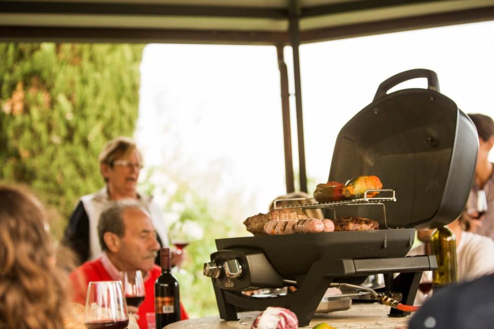 Napoleon Bbq PRO285BK TravelQ PRO285 Portable Gas Grill , Propane, Black