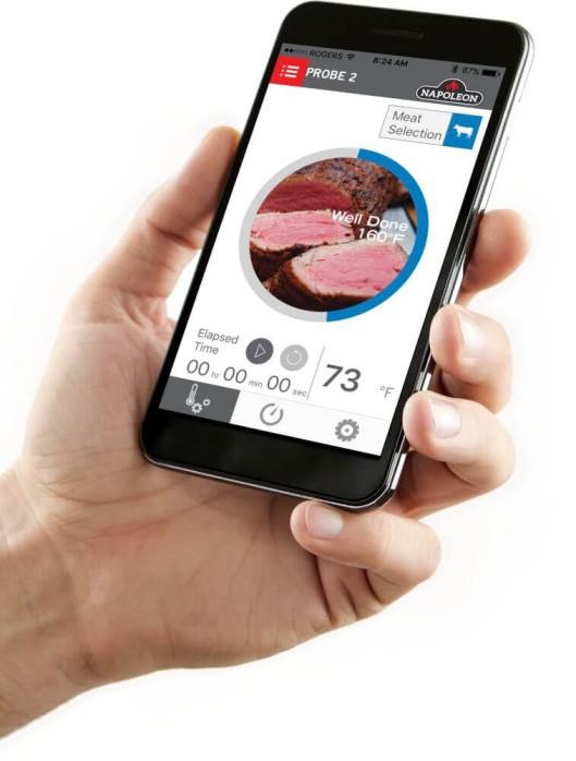 Napoleon Bbq 70078 2 Piece Probe Set (Fits 70077 Thermometer) for ACCU-PROBE Bluetooth Thermometer