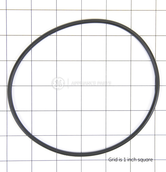 WS03X10054 GE water filter O-ring