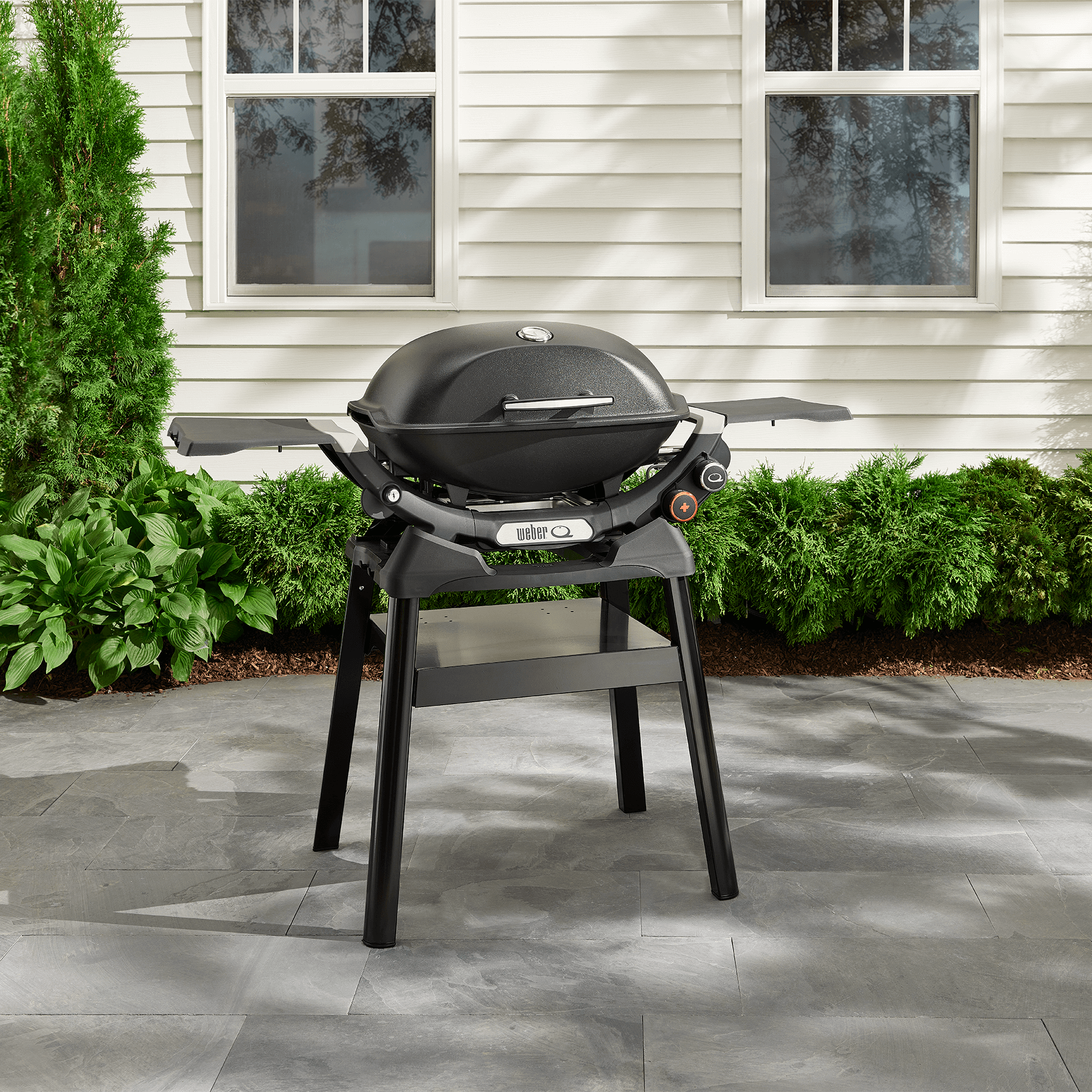 Weber Compact Stand