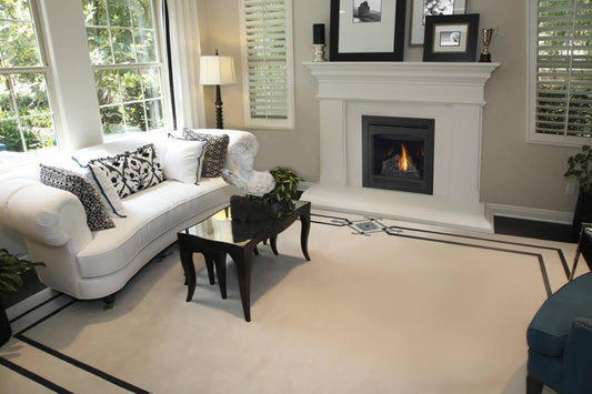 Napoleon Bbq B30NTRE1 Ascent 30 Direct Vent Gas Fireplace