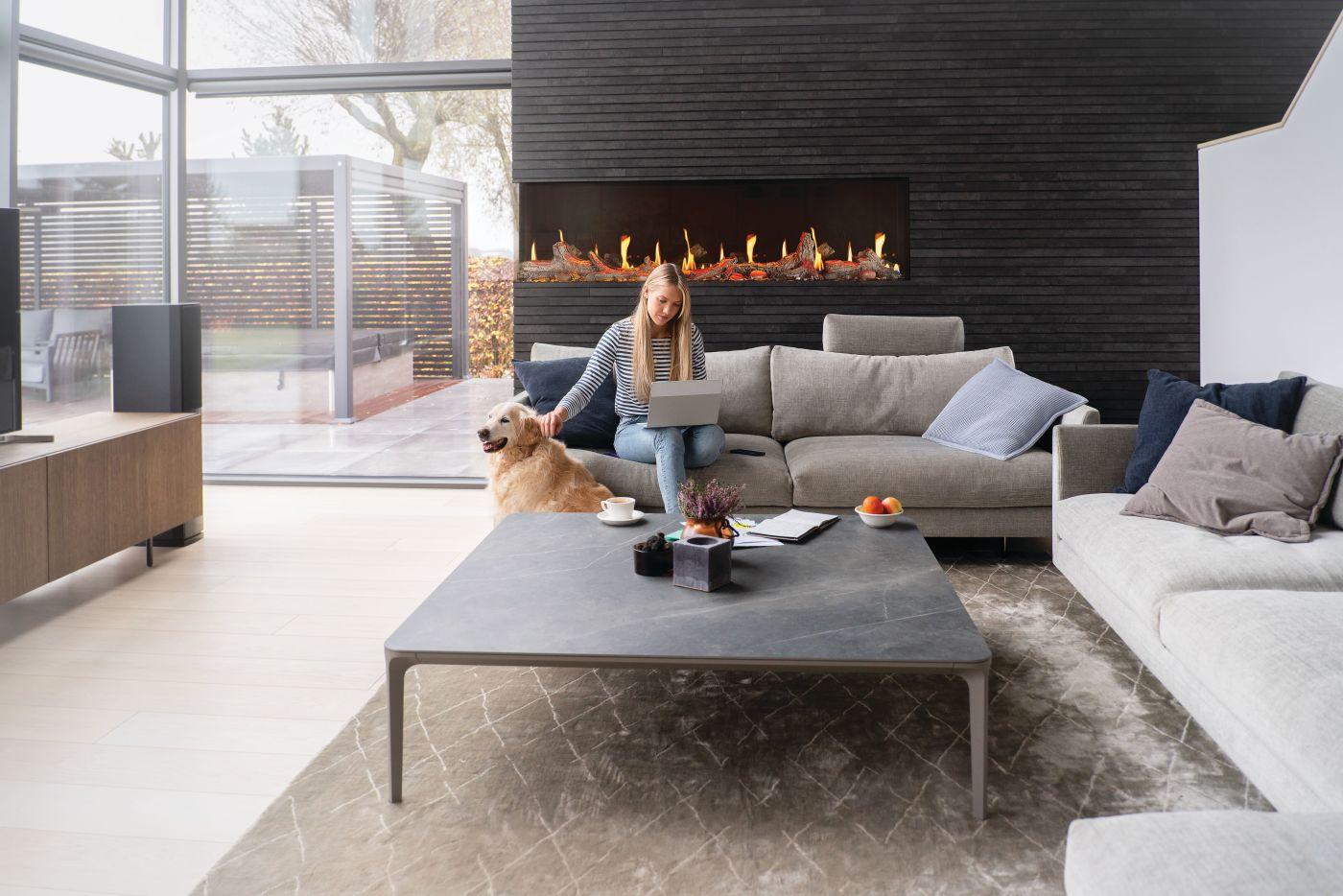 Napoleon Bbq NEFL65LCD3SV Luminex 65 LCD Electric Linear Built-in Fireplace