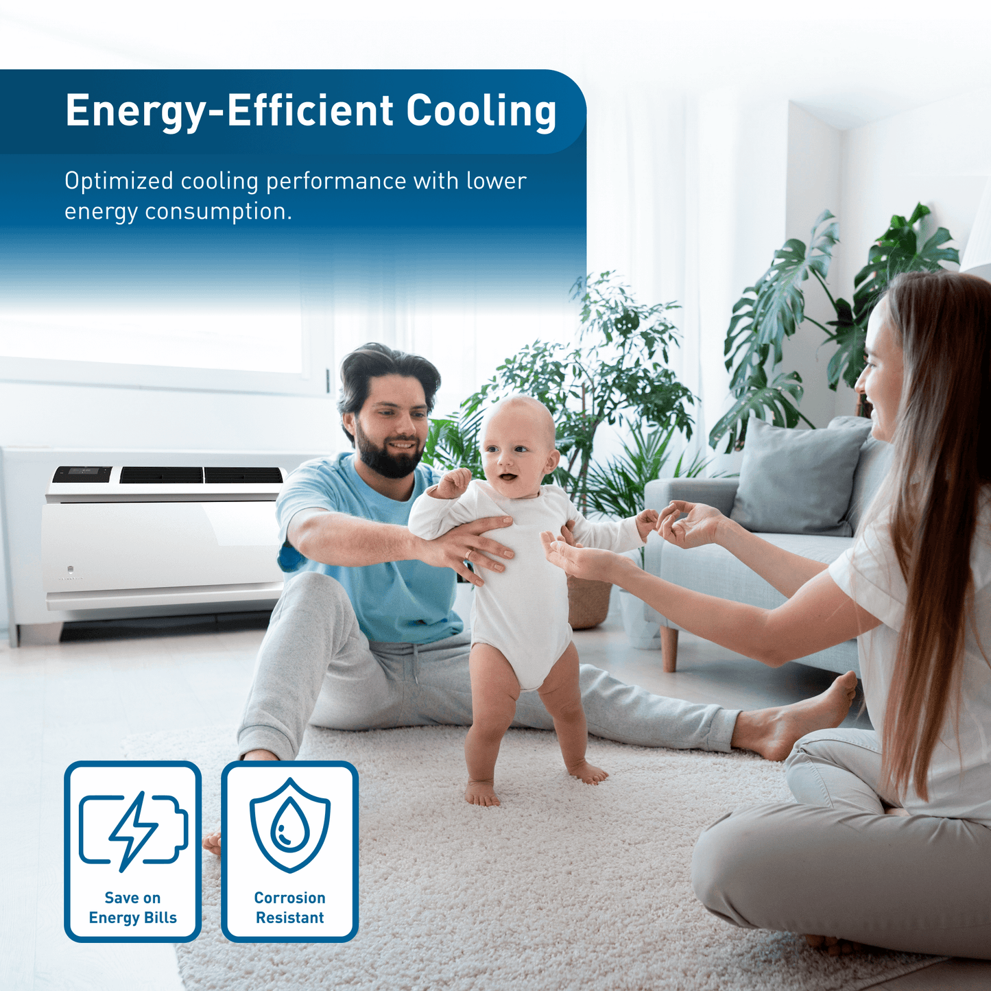 WCVT12B10A Friedrich WallMaster Inverter 12,000 BTU 115V Smart Through-the-Wall Air Conditioner - Cool Only