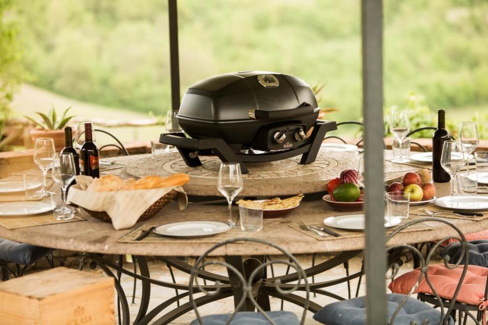 Napoleon Bbq PRO285BK TravelQ PRO285 Portable Gas Grill , Propane, Black