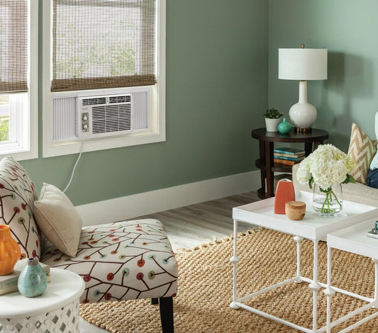 Frigidaire FFRA051WA1 5,000 BTU Window-Mounted Room Air Conditioner