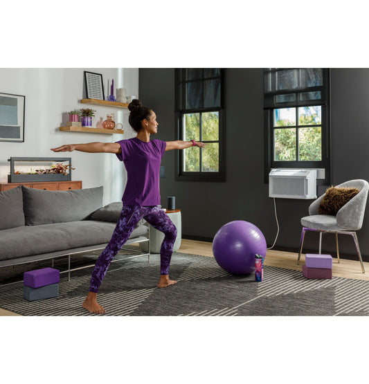 AHTT08BC GE Profile ClearView™ 8,300 BTU Smart Ultra Quiet Window Air Conditioner for Medium Rooms up to 350 sq. ft.