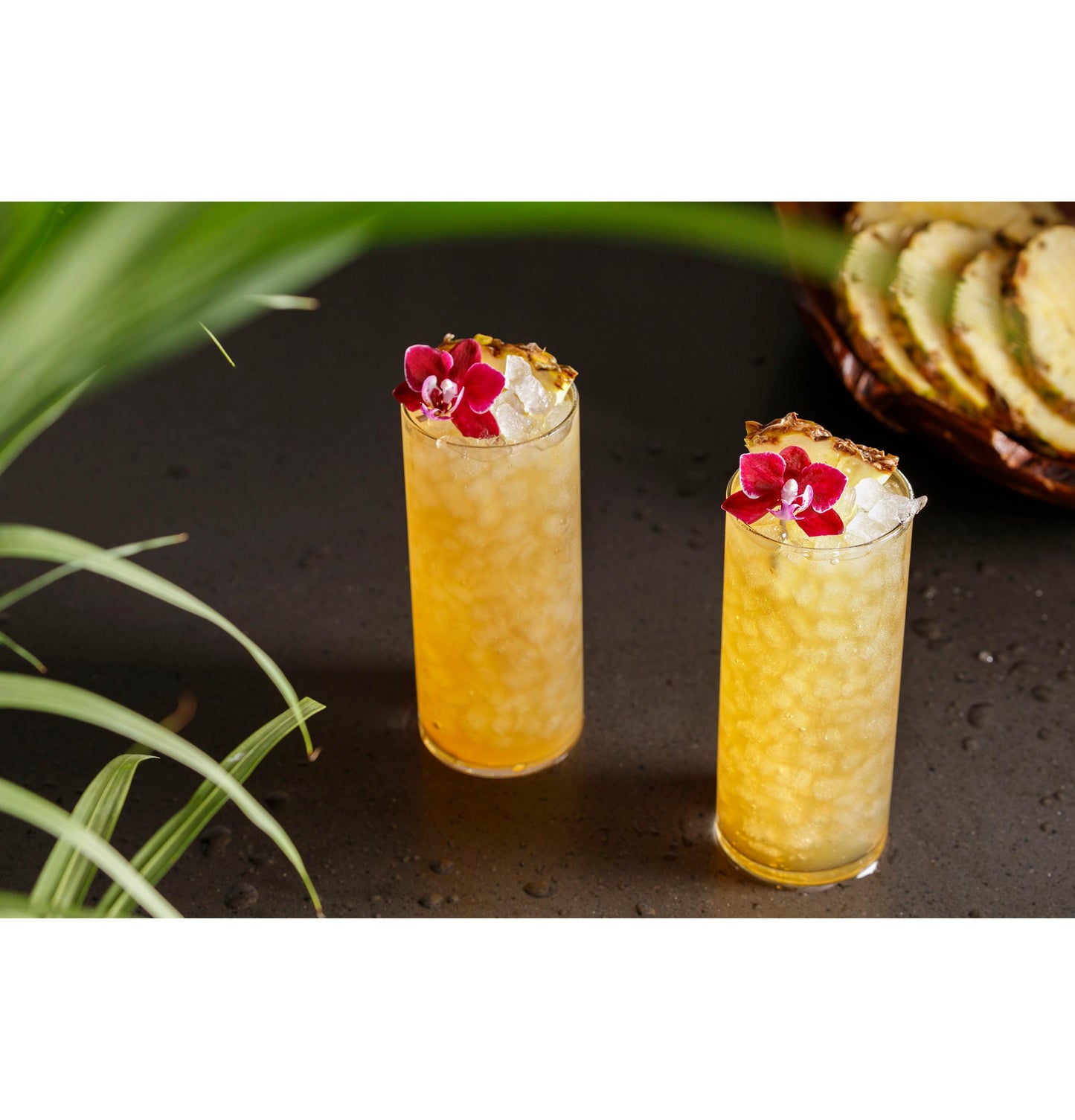 GE Profile™ Opal™ Nugget Ice Maker