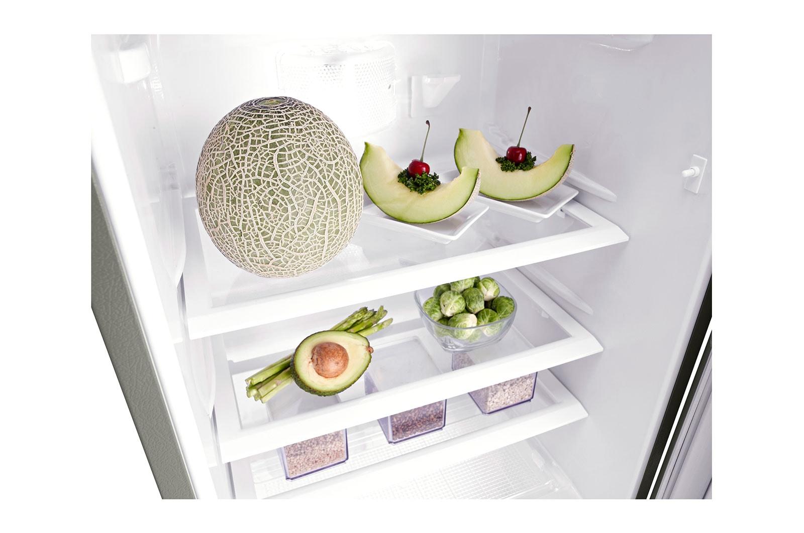 7 cu. ft. Single Door Refrigerator