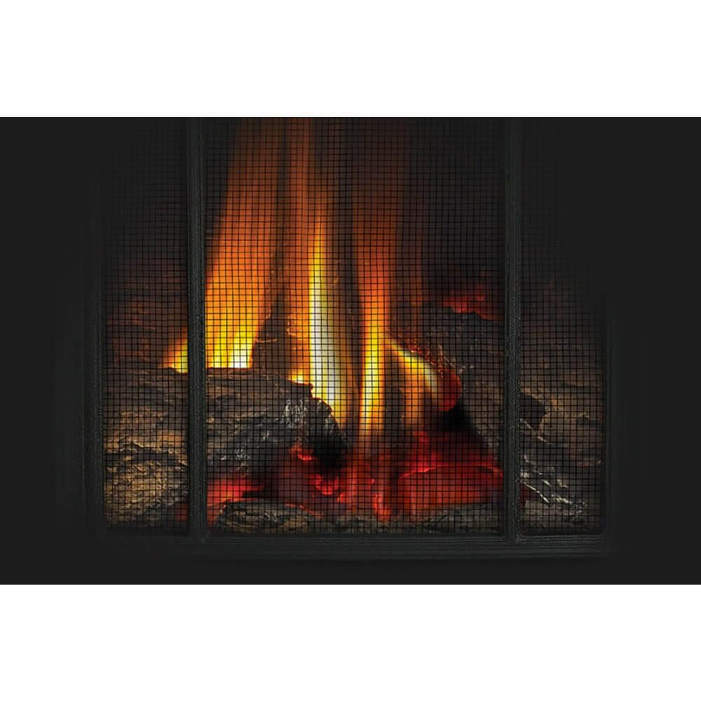 Napoleon Bbq GDS20NE Arlington Direct Vent Gas Stove