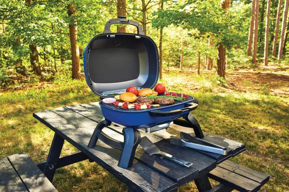 Napoleon Bbq TQ240BL TravelQ 240 Portable Gas Grill , Propane, Blue