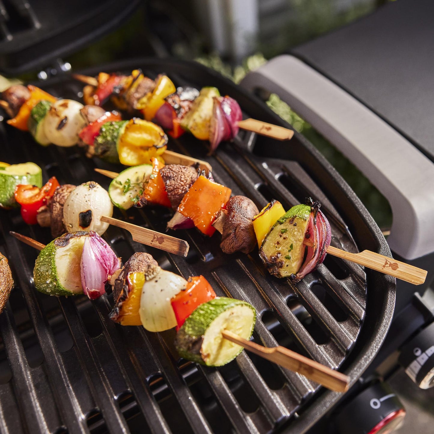 Weber 1500375 Q 2800N+ Gas Grill (Liquid Propane) - Midnight Black