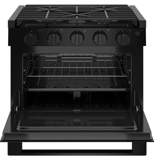 PLD617DTBB GE Profile™ 17" Drop-In RV Gas Range