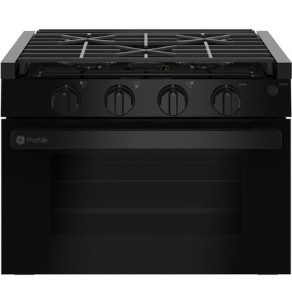 PLD617DWBB GE Profile™ 17" Drop-In Electric Ignition RV Range