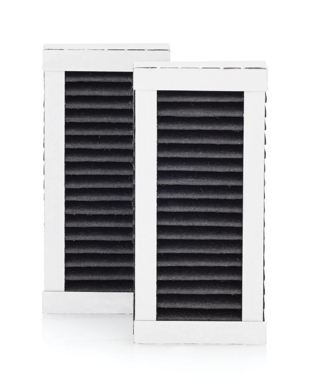 Frigidaire PAULTRAII2PK PureAir Ultra II™ Air Filter (2 Pack)