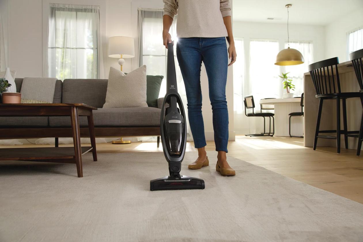 Electrolux EHVS35P2AT WellQ7™ Pet Vacuum