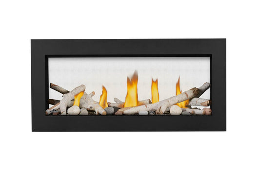 Napoleon Bbq LV38N21 Vector 38 See Through Direct Vent Gas Fireplace