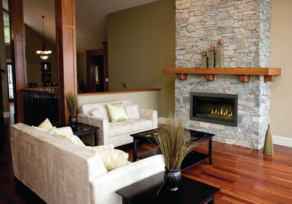 Napoleon Bbq BL42NTE Ascent Linear 42 Direct Vent Fireplace