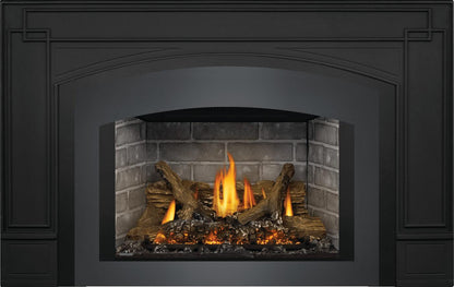 Napoleon Bbq GDIX3N1 Oakville X3 Direct Vent Gas Insert