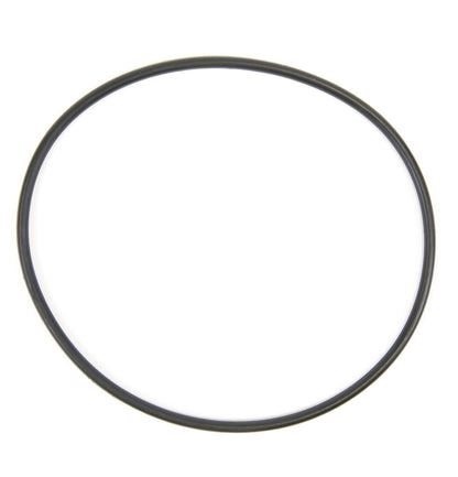 WS03X10054 GE water filter O-ring
