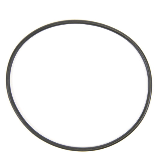 WS03X10054 GE water filter O-ring