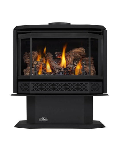 Napoleon Bbq GDS501NE Havelock Direct Vent Gas Stove
