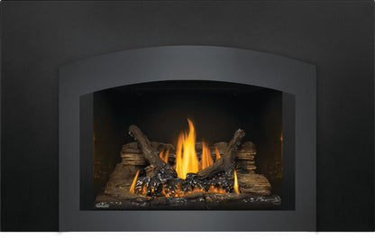 Napoleon Bbq GDI3NE1 Oakville 3 Direct Vent Gas Insert