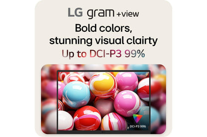 Lg 17MT70ASDU1 17 Inch LG gram +view IPS Portable Monitor, Silver