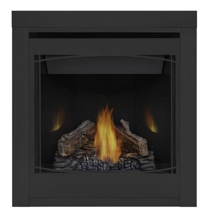 Napoleon Bbq B30NTRE1 Ascent 30 Direct Vent Gas Fireplace