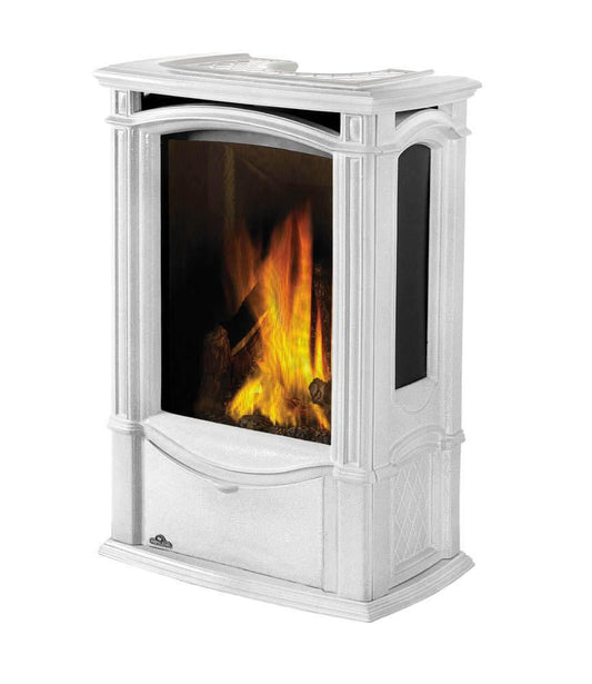 Napoleon Bbq GDS26NW1 Castlemore Direct Vent Gas Stove