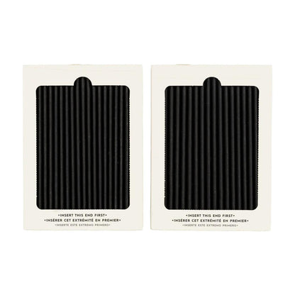 Electrolux SCPUREAIR2PK Carbon-Activated Air Filter Refill Kit, 2 Pack