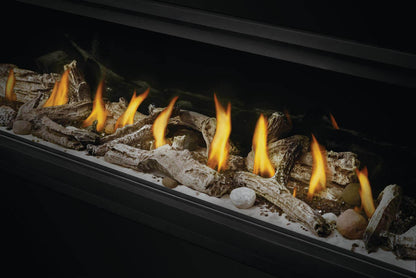 Napoleon Bbq LV50N22 Vector 50 See Through Direct Vent Gas Fireplace