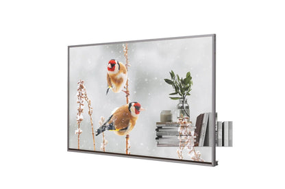 Lg 55EW5PM 55'' Transparent OLED with Expandable Design