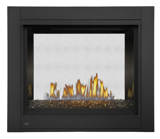Napoleon Bbq BHD4STGN Ascent Multi-View See Through, Glass Ember Bed, Direct Vent