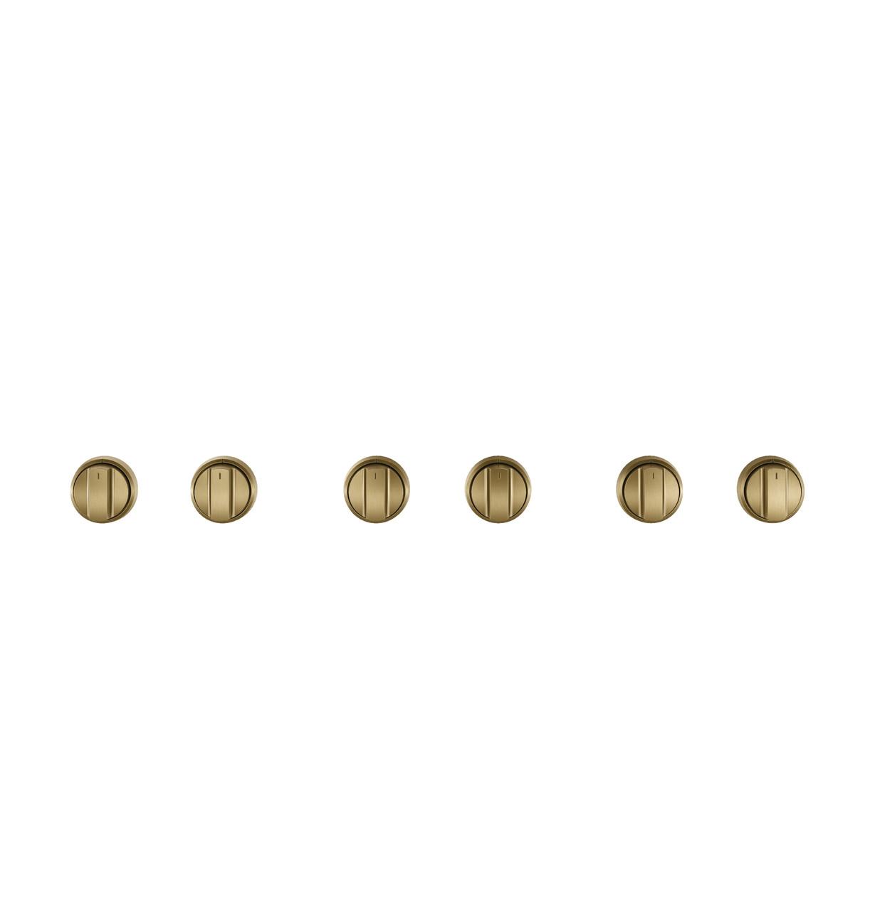 Cafe CXPR6HKPTCG CAF(EBACK)™ 36" Brushed Brass Handle & Knob Set for Pro Range and Rangetop