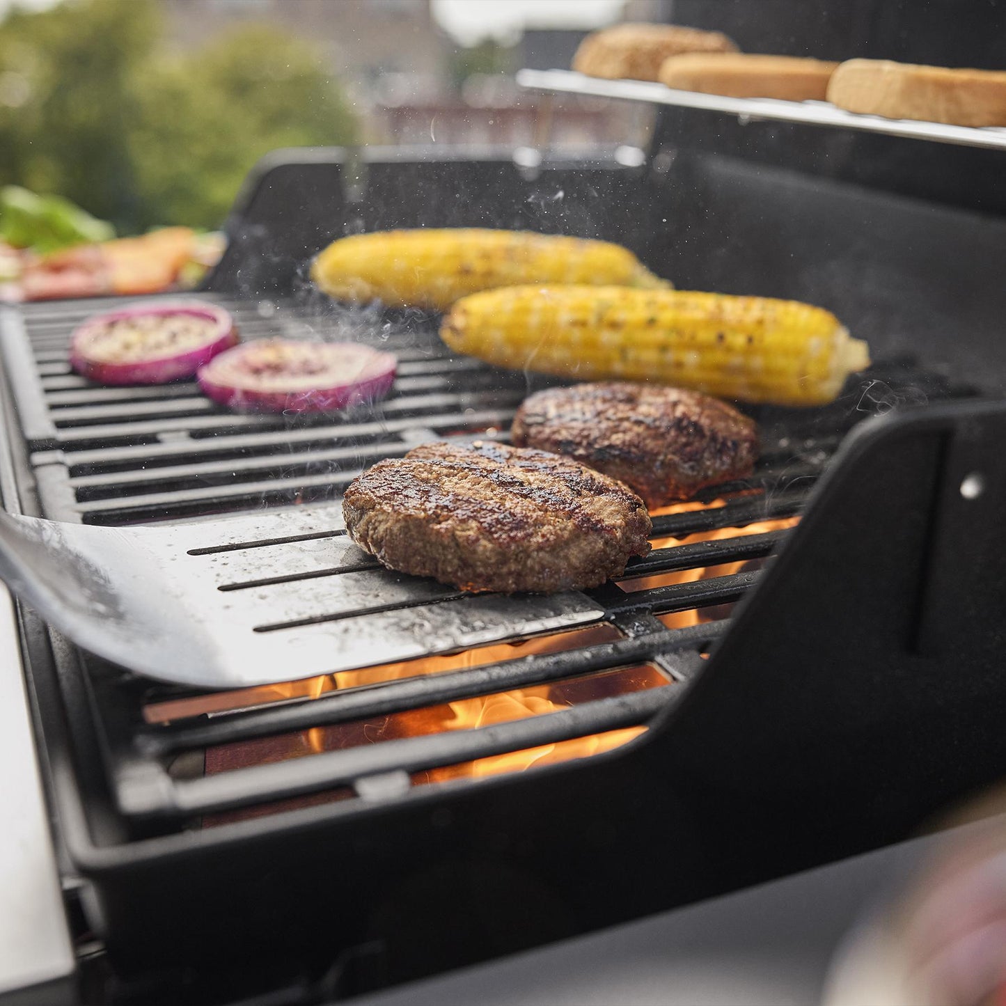 Weber 1501000 Spirit® E-210 Gas Grill (Liquid Propane) - Black