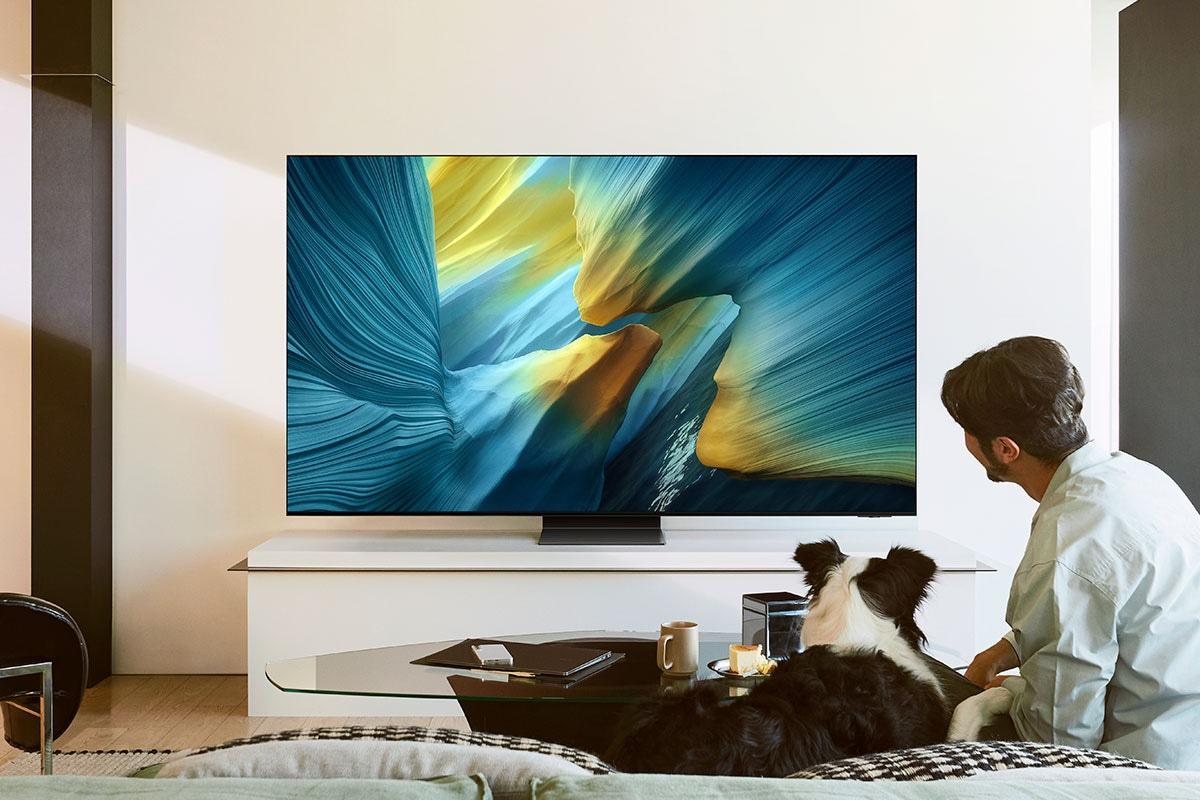 Samsung QN65S95FAFXZA 65" Class OLED S95F 4K Samsung Vision AI Smart TV (2025)