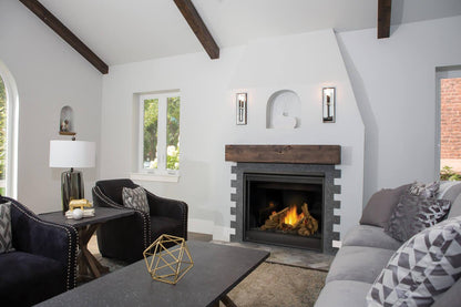 Napoleon Bbq B42NTRE Ascent 42 Direct Vent Gas Fireplace