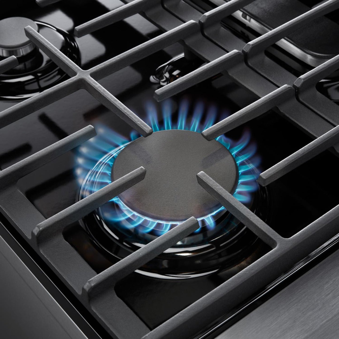 LRG3001U Thor Kitchen 30-inch Gas Range - Lrg3001u