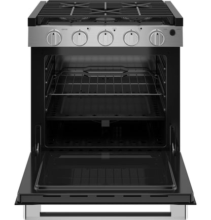 PLD621RTSS GE Profile™ 21" Drop-In RV Gas Range