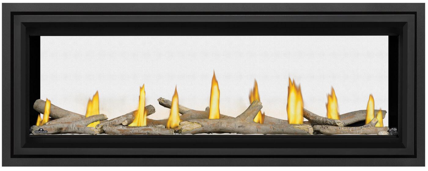 Napoleon Bbq LV50N22 Vector 50 See Through Direct Vent Gas Fireplace