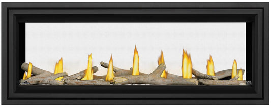 Napoleon Bbq LV50N22 Vector 50 See Through Direct Vent Gas Fireplace