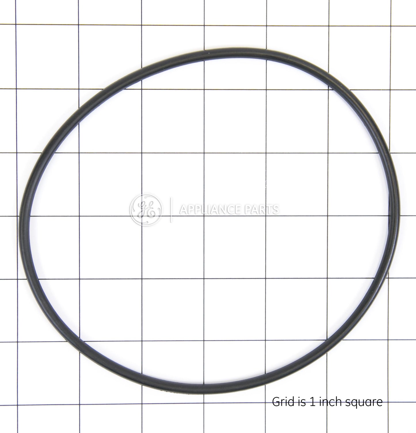 WS03X10054 GE water filter O-ring