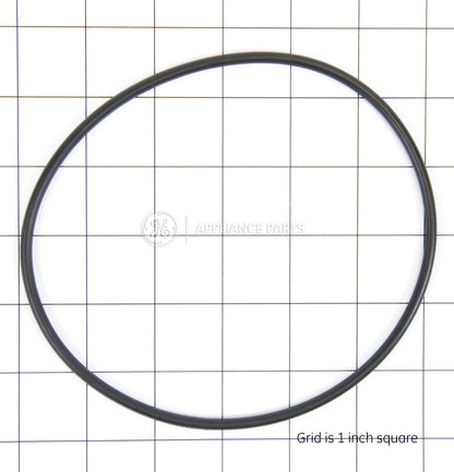 WS03X10054 GE water filter O-ring