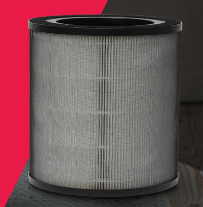 Frigidaire FRPARAC17 PureAir® RAC-17 HEPA Air Filter