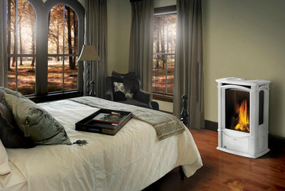 Napoleon Bbq GDS26NW1 Castlemore Direct Vent Gas Stove