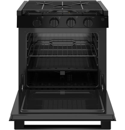 PLD621DWBB GE Profile™ 21" Drop-In Electric Ignition RV Range
