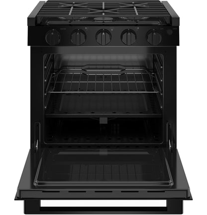 PLD621DTBB GE Profile™ 21" Drop-In RV Gas Range