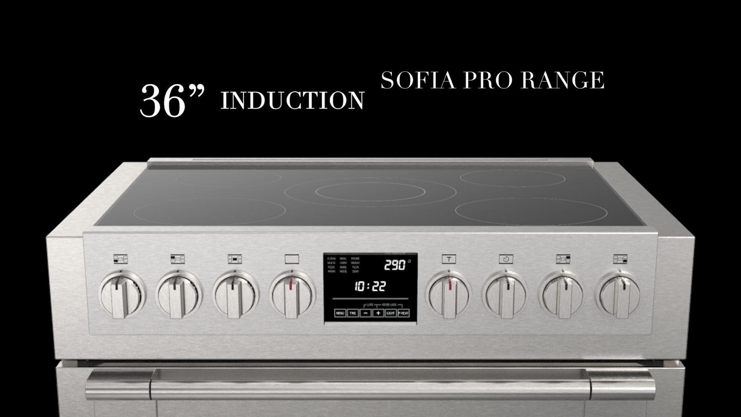 36" INDUCTION PRO RANGE