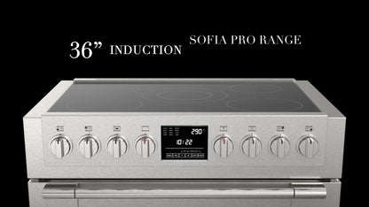 36" INDUCTION PRO RANGE