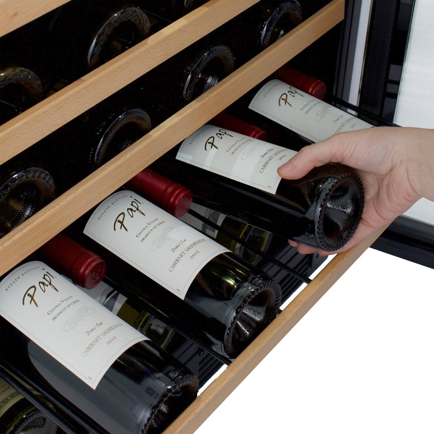 WCB52T3S Avanti 51 Bottle Wine Cooler
